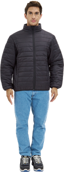 Куртка ДЕМИ стеганая, черный - фото 107832