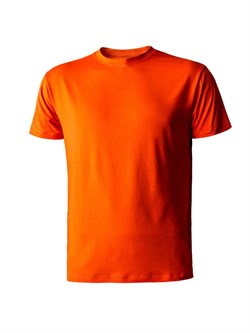 Футболка оранжевая Балтсейфти (Baltsafety) (K635-OR) - фото 173312
