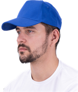 Бейсболка васильковая, электрик