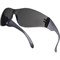 Очки открытые DeltaPlus™ BRAVA2 SMOKE - фото 100374