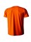 Футболка оранжевая Балтсейфти (Baltsafety) (K635-OR) - фото 173313