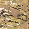 Костюм демисезонный Горка-3 (тк.Смесовая Рип-Стоп) брюки HUNTSMAN, КМФ мультикам - фото 53246