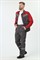 Костюм Сфера-1 NEW (тк.Смесовая,210) брюки, т.серый/красный - фото 53775