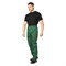 Костюм мужской Стандарт Плюс зеленый/желтый (куртка и брюки) - фото 56449