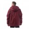 Зимняя куртка BRODEKS KW210, темно-красный - фото 68841