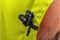 OKER Куртка-бомбер HOEGERT сигнальная утепленная желтая - фото 72789