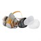Комплект для защиты дыхания Jeta Safety J-SET 6500: полумаска, фильтры А1 (2 шт), предфильтры P2 (4 шт), держатели (2 шт) - фото 77279