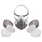 Комплект для защиты дыхания Jeta Safety J-SET 5500P: полумаска, фильтры А1E1 (2 шт), предфильтры P2 (4 шт), держатели (2 шт) - фото 77342