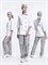 Костюм женский Канди (тк.ТиСи,120), серый/белый - фото 98957