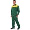 Костюм Стандарт (тк.Смесовая,210) брюки ЭТ, зеленый/желтый - фото 99587